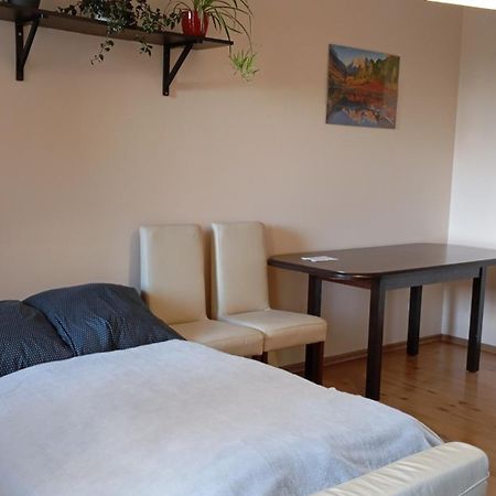 Apartament Radzikowskiego クラクフ エクステリア 写真
